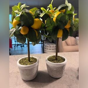 EUC faux lemon topiaries